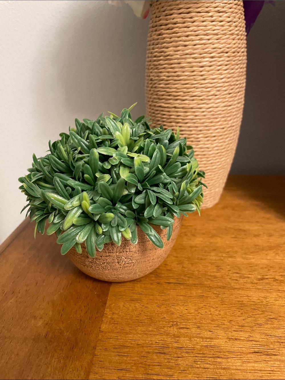 Artificial Small Potted Plant Greenery in Ceramic Round Pot